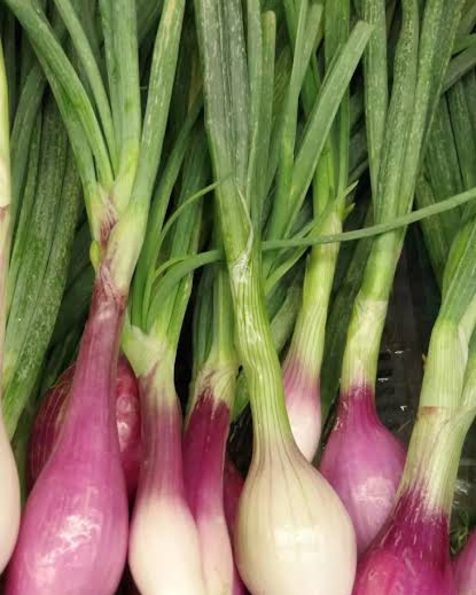 Local Spring Onions